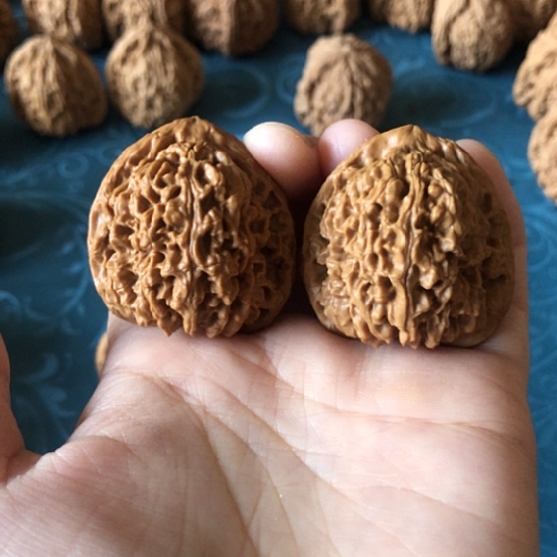 【闪购商品】文玩核桃把件用****6一代将