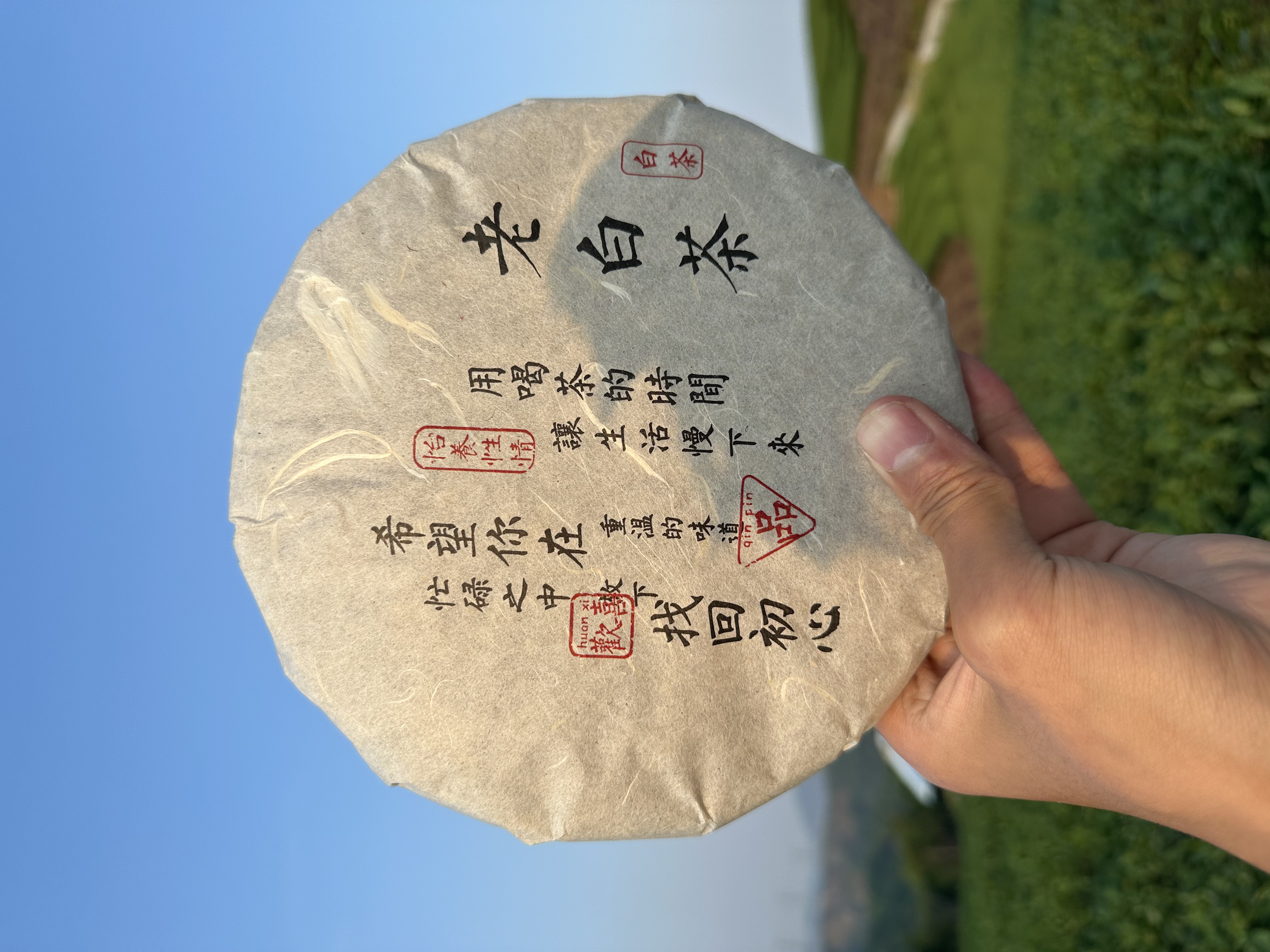 2018年饼茶正宗福鼎白茶寿眉老白茶陈茶紧压350g日晒