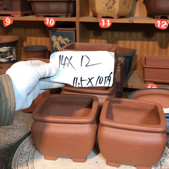 紫砂四季园菜场自行车反光