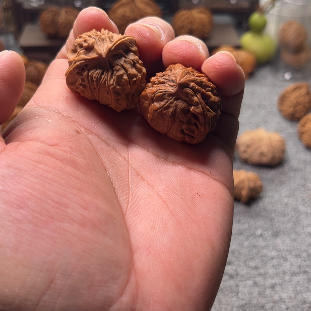 文玩核桃把件天然蛇头