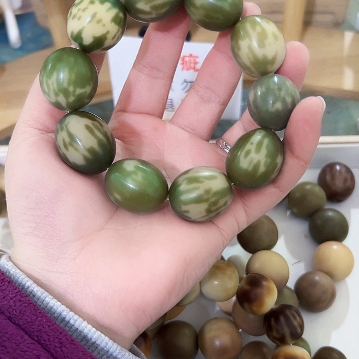 菩提根/象牙果吊坠林*