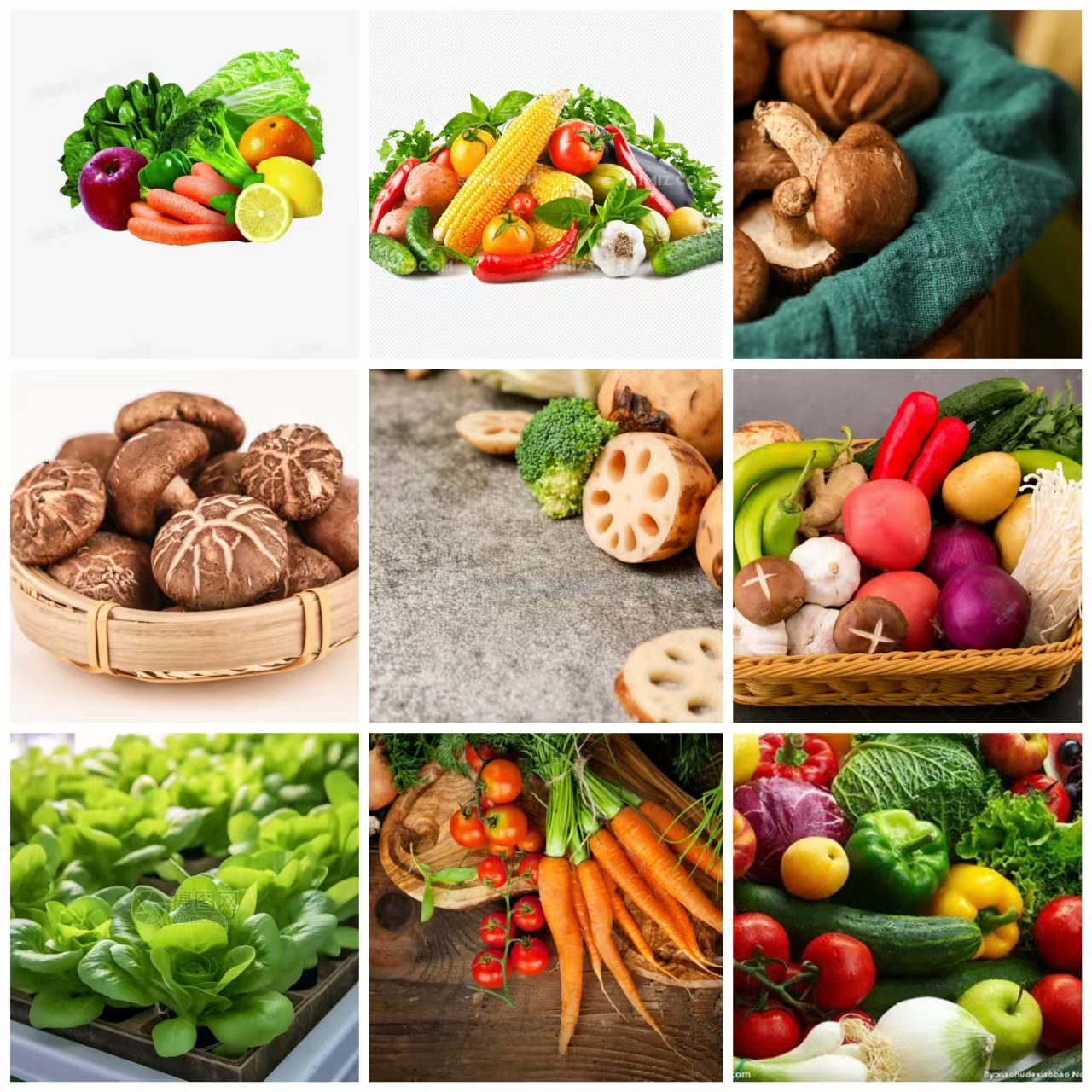 1【K-老-树-皮】净含量：250-1000g【小田现收】菌