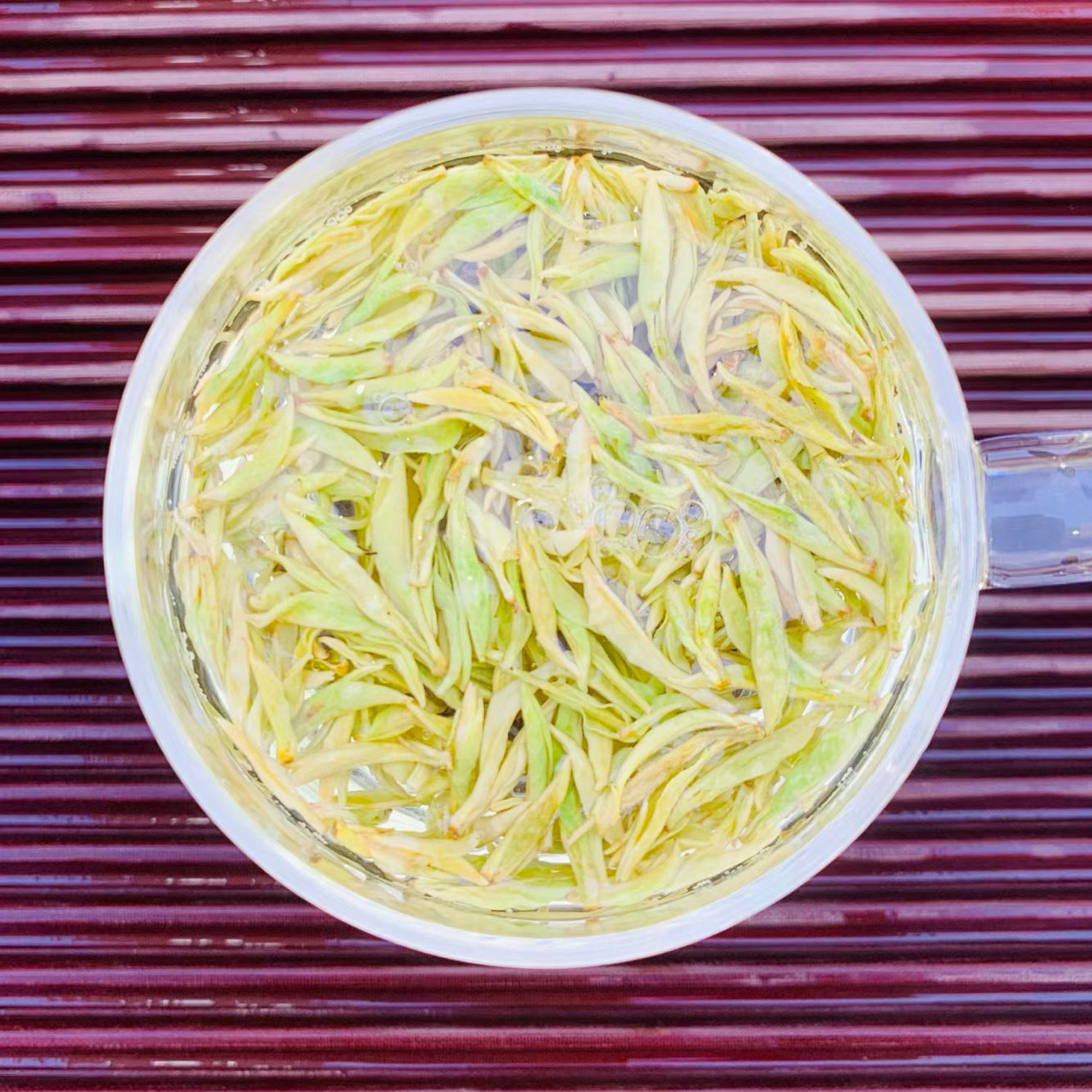 【极白】2025新茶极白原产地黄金芽白茶