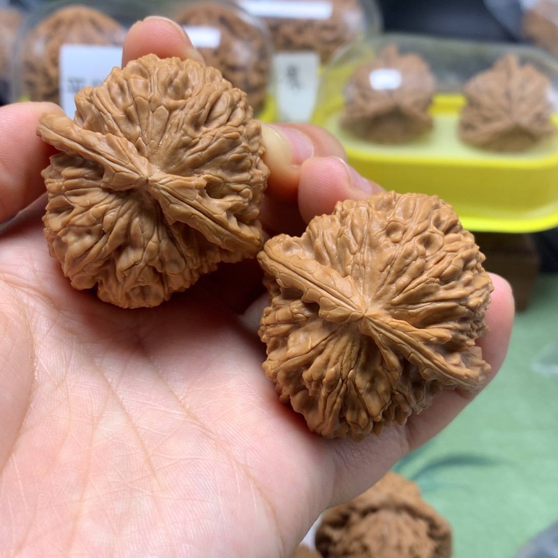 文玩核桃把件43白狮子50克
