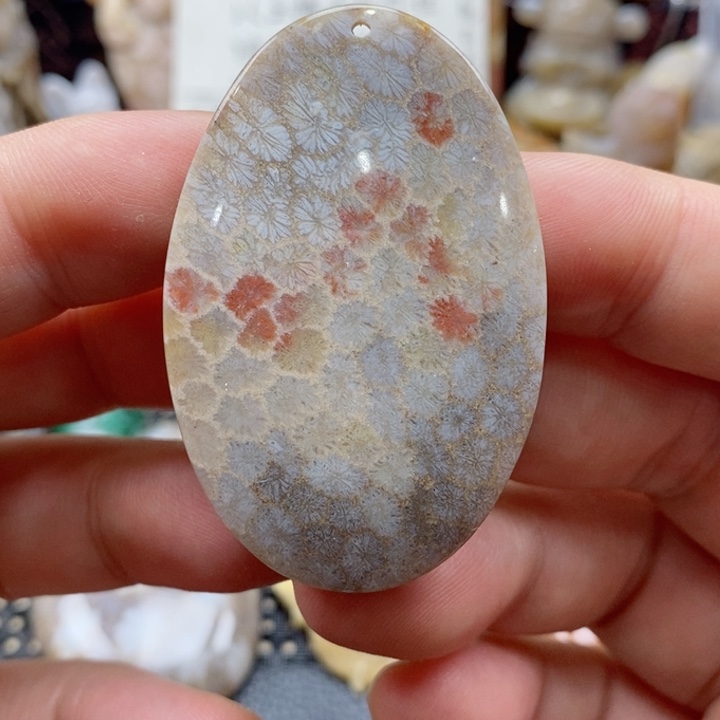 硅化珊瑚（珊瑚玉）颈饰未镶嵌