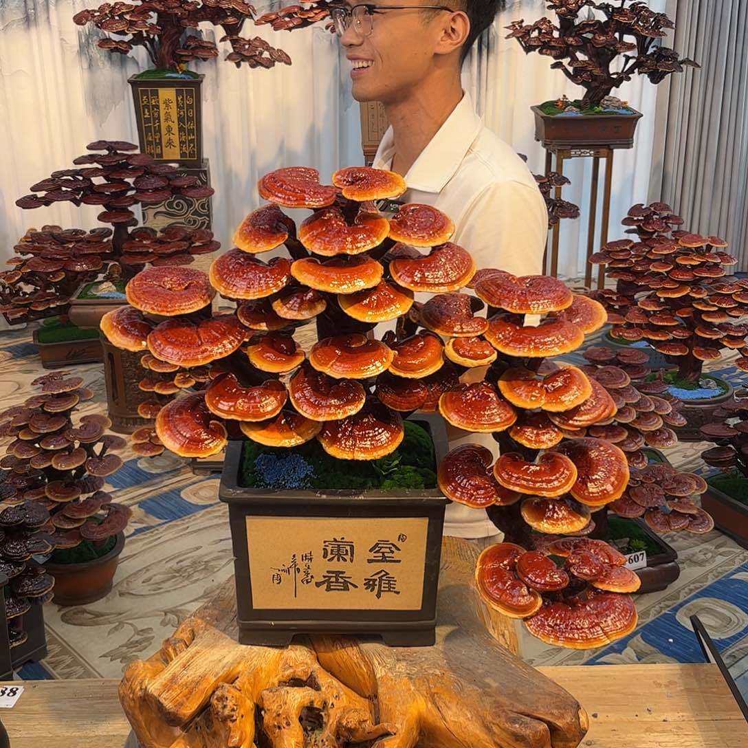 无花朵88888888888