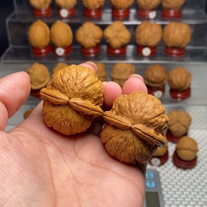 文玩核桃把件金龟玉甲5