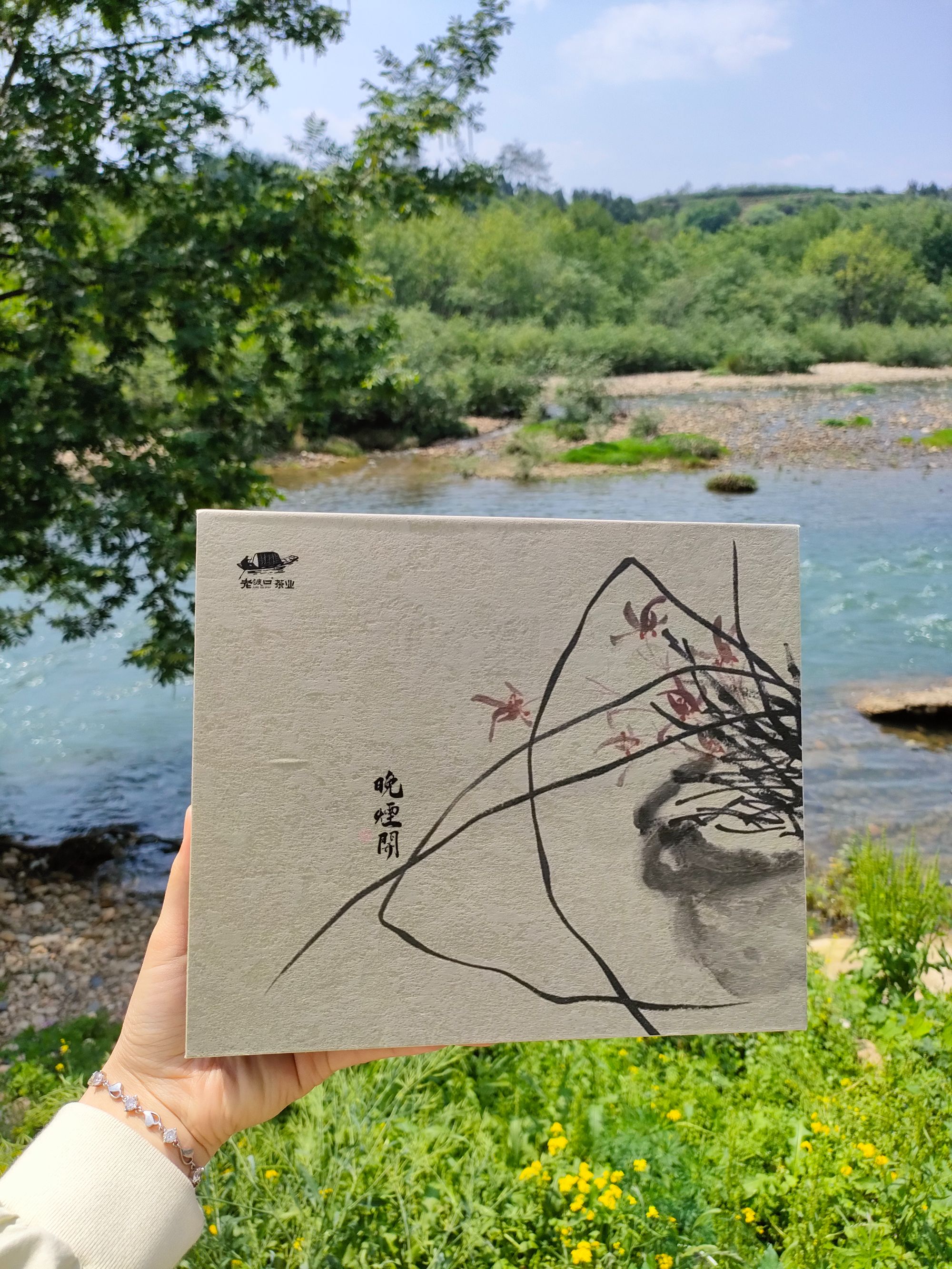 武夷山正岩山场 鹰嘴岩肉桂耐泡浓香型茶叶 一两品鉴装