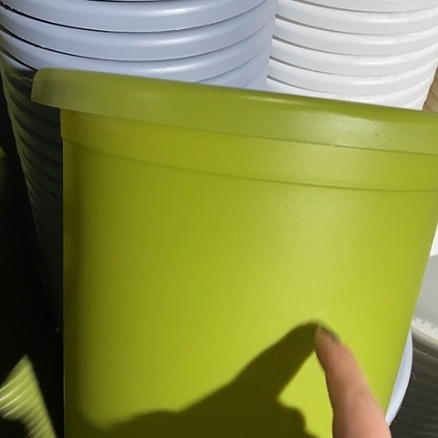 树脂四季4号果绿无托10个微瑕