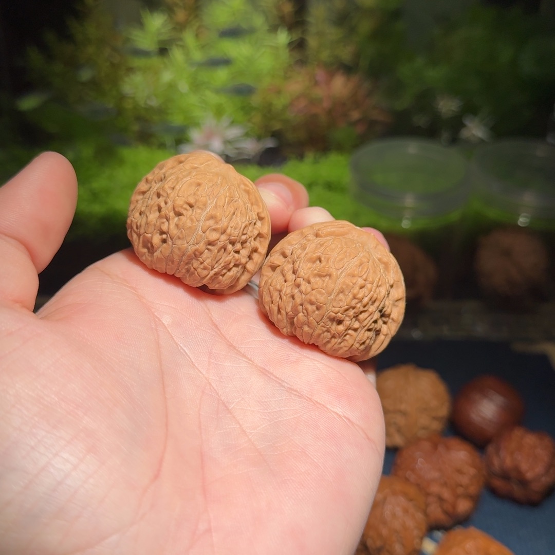 521号39平底锅文玩核桃