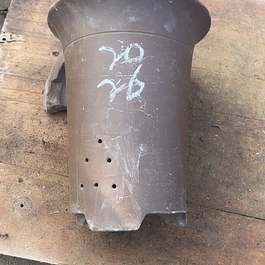 紫砂工艺厂……紫砂工艺厂……