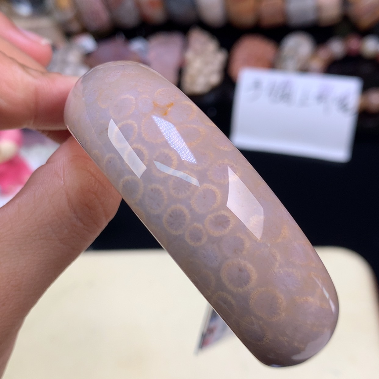 【闪购商品】颈饰未镶嵌硅化珊瑚（珊瑚玉）23号上新59圈