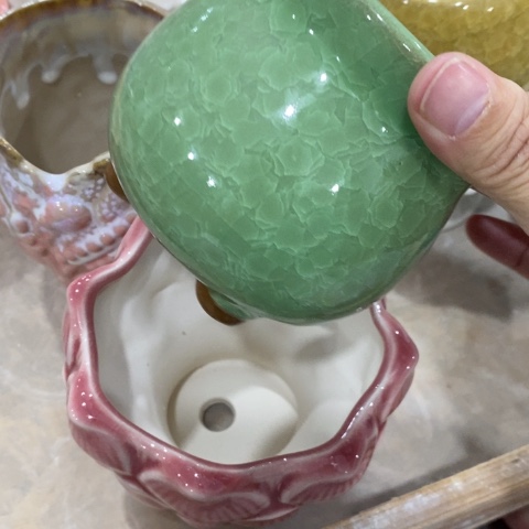 三角冰裂草绿313133131331