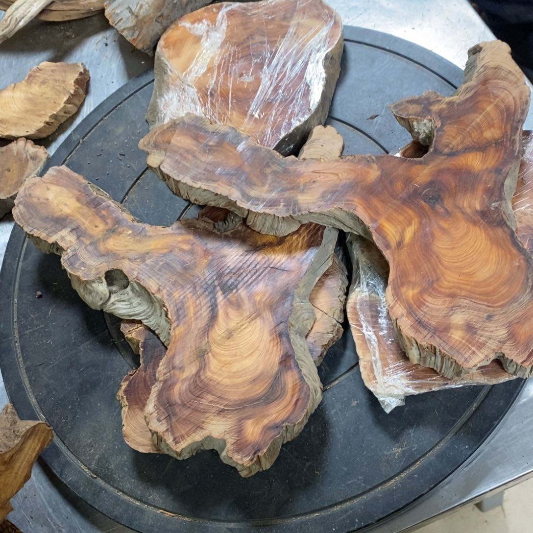 柏木意*我们都是好孩子
