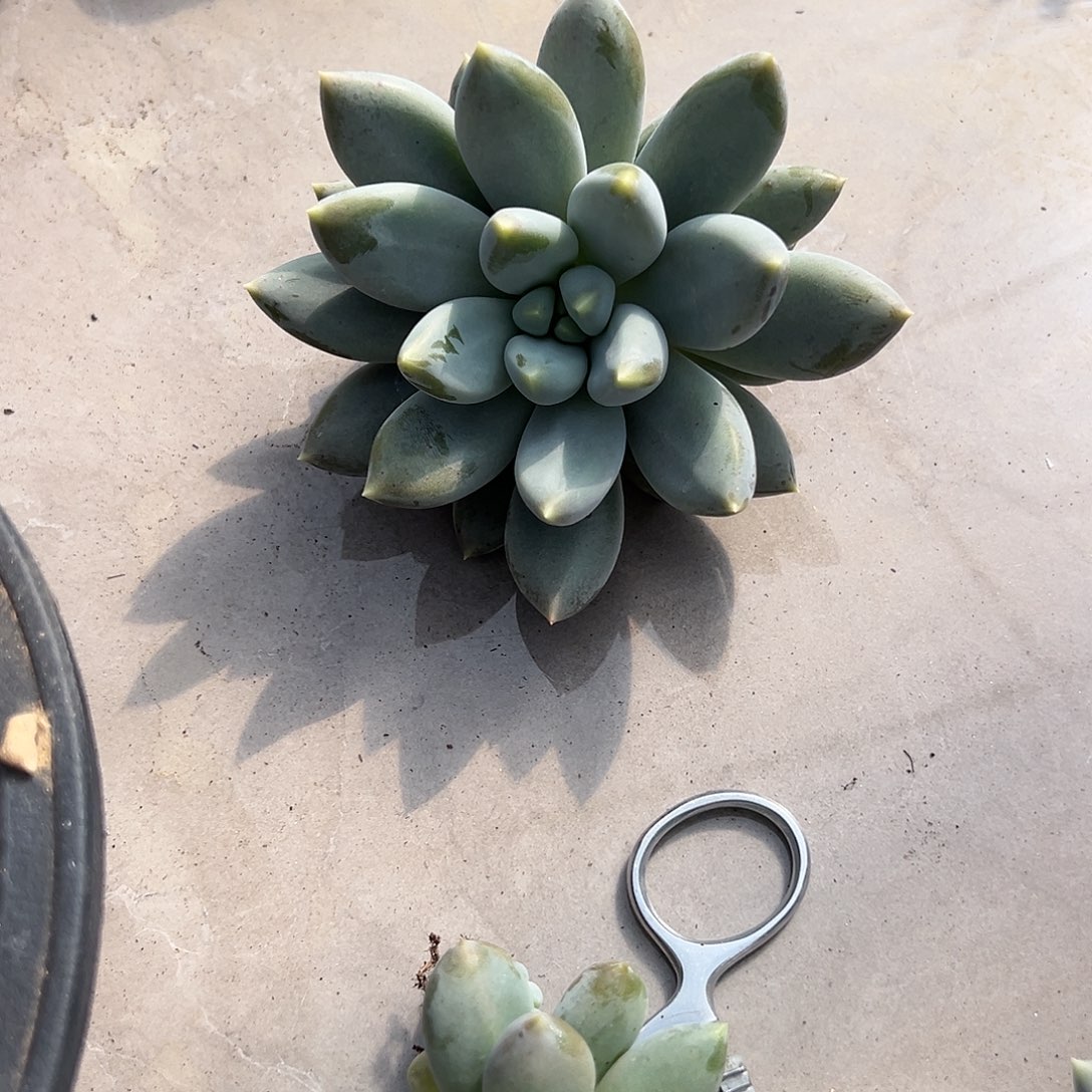 【闪购商品】开播福利
