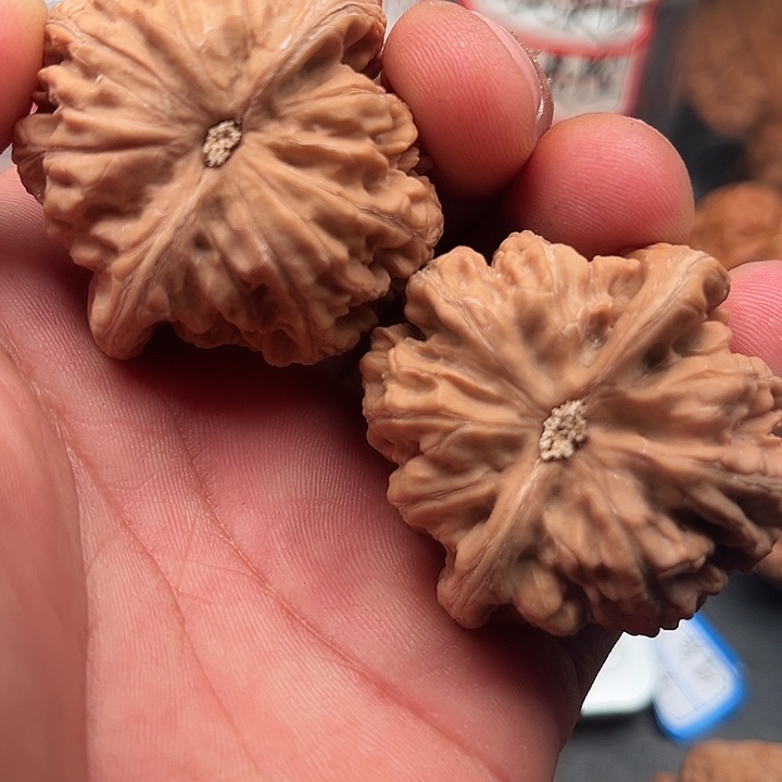 把件文玩核桃粗筋48