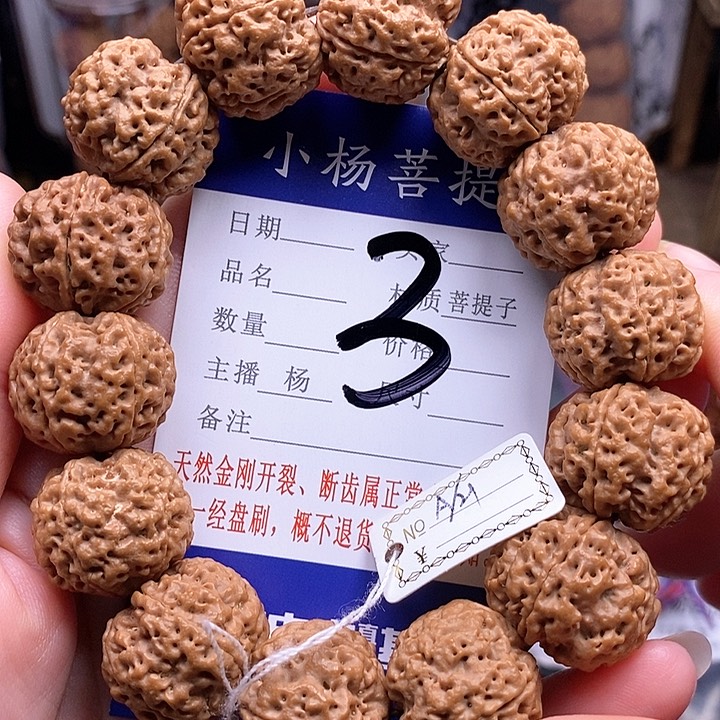 手串金刚菩提21铁骨双龙