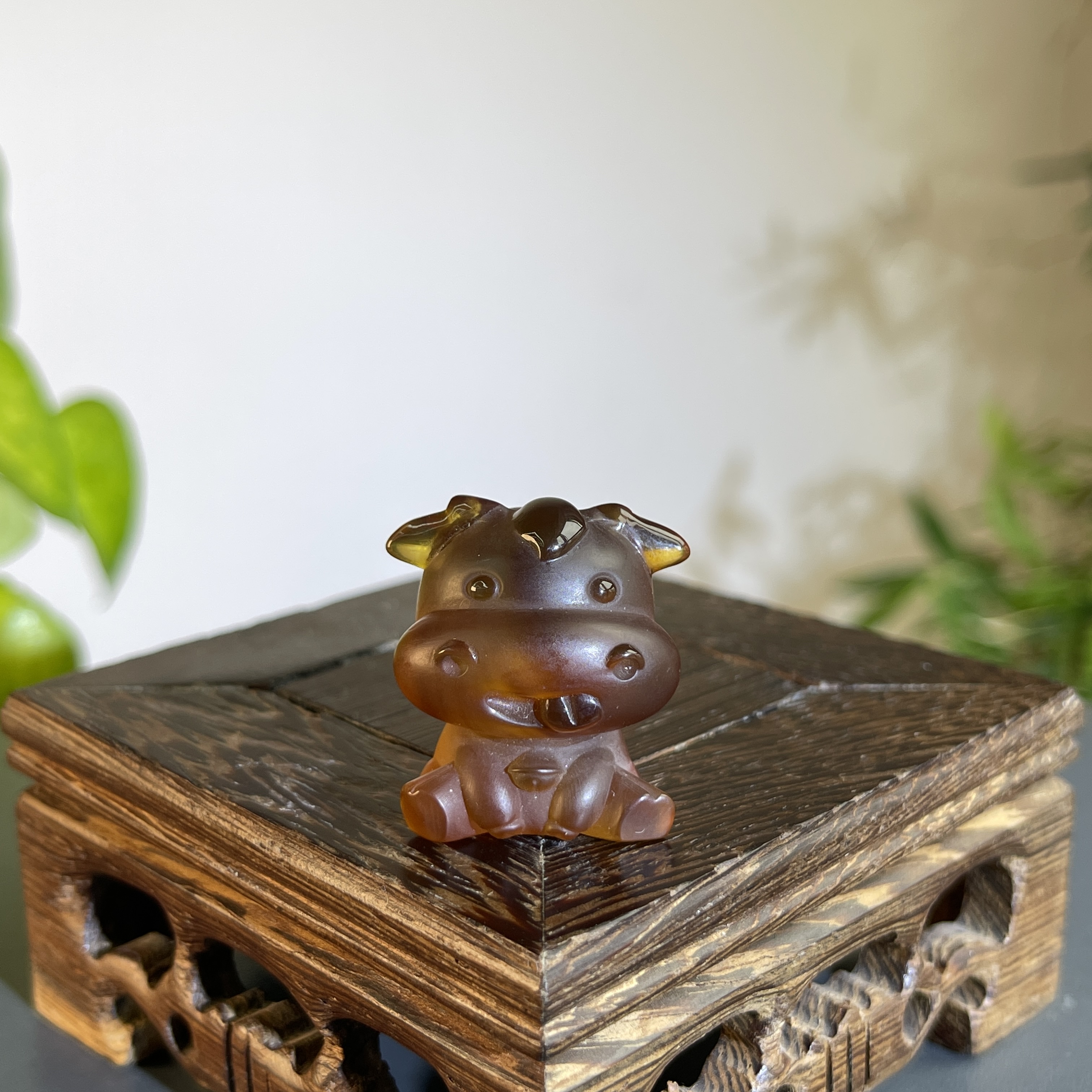 JXB20-24  琥珀-小牛