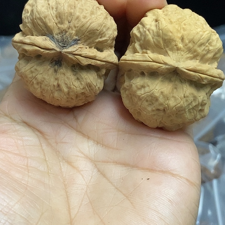 把件文玩核桃云南铁核桃基地45