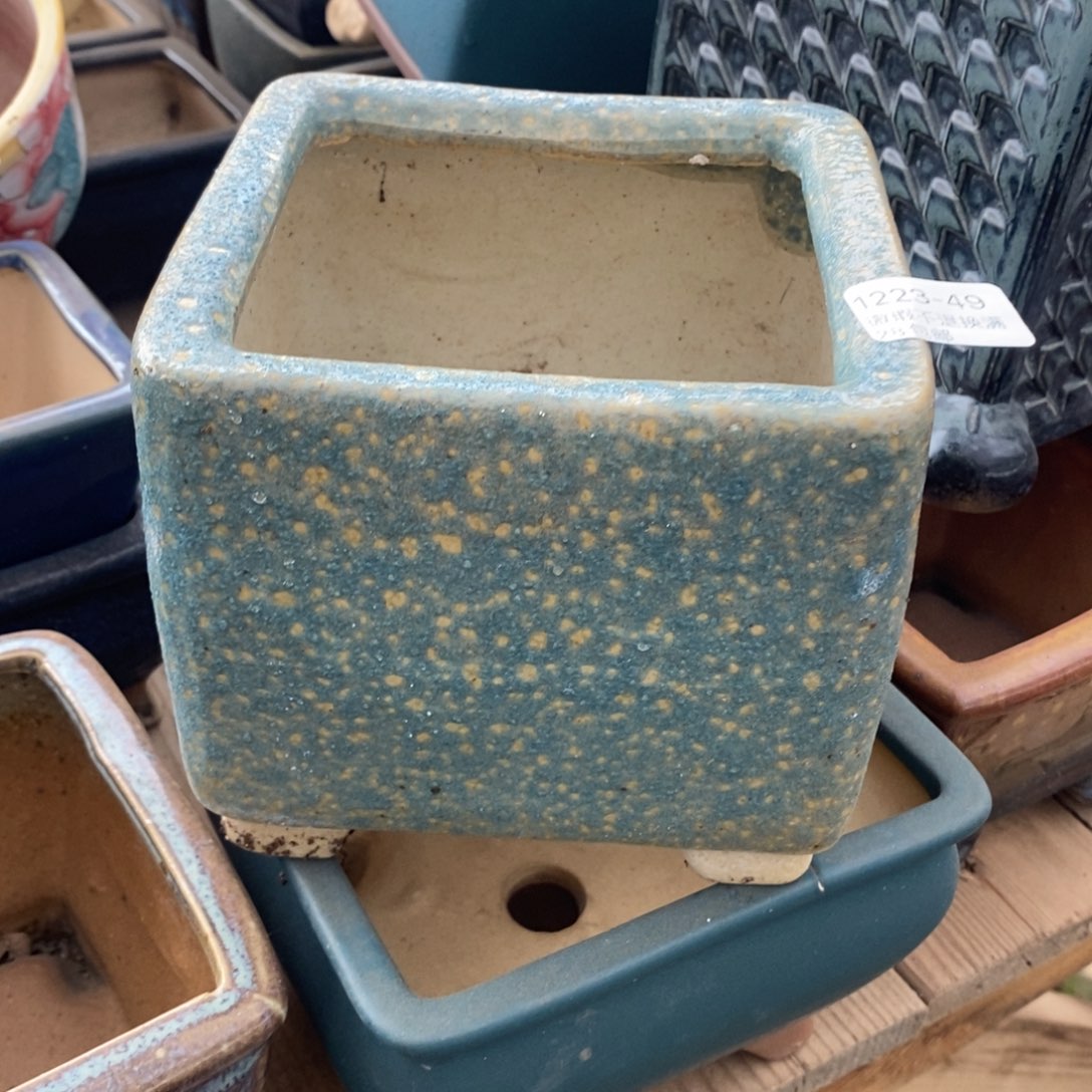 49号多肉盆口径11