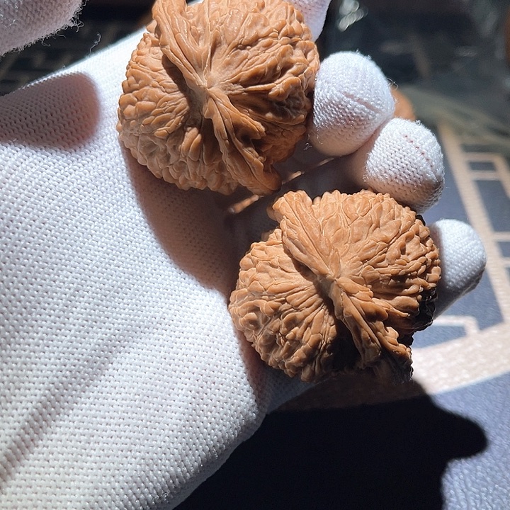 把件文玩核桃?***豚白狮子