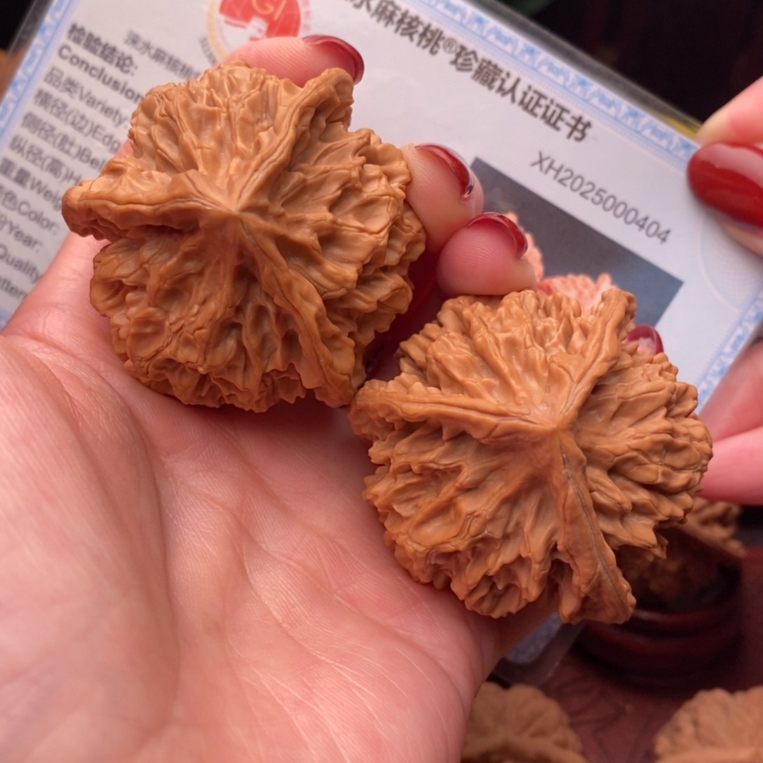 文玩核桃把件龙纹奔49