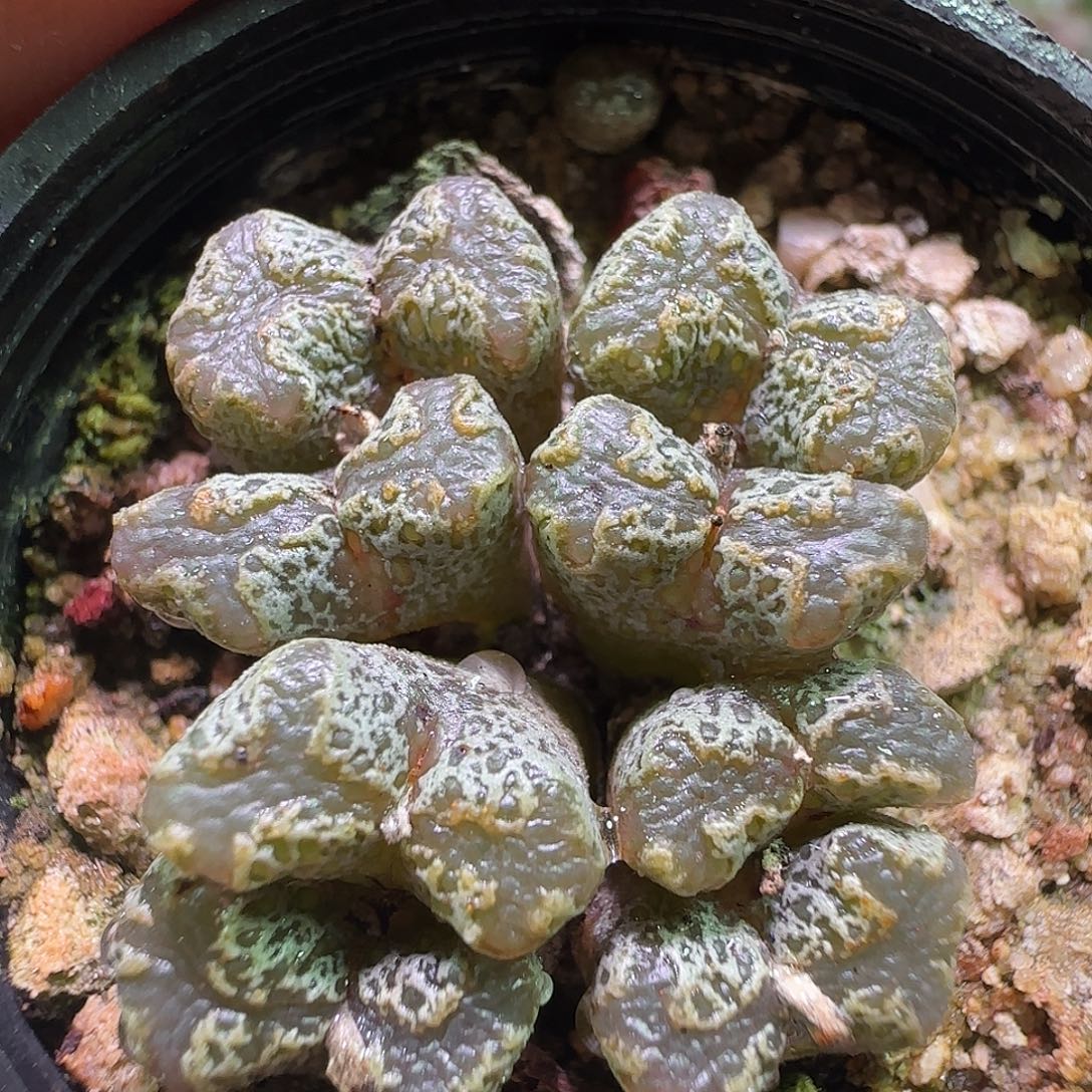 哈哈哈哈哈哈哈哈949