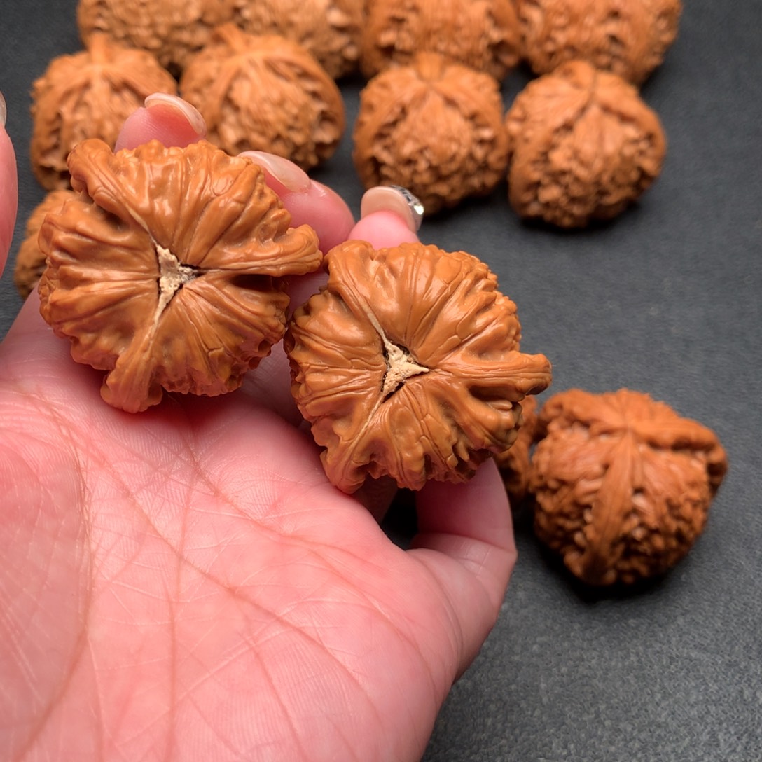 ****壮核桃手串/手链白狮子三棱