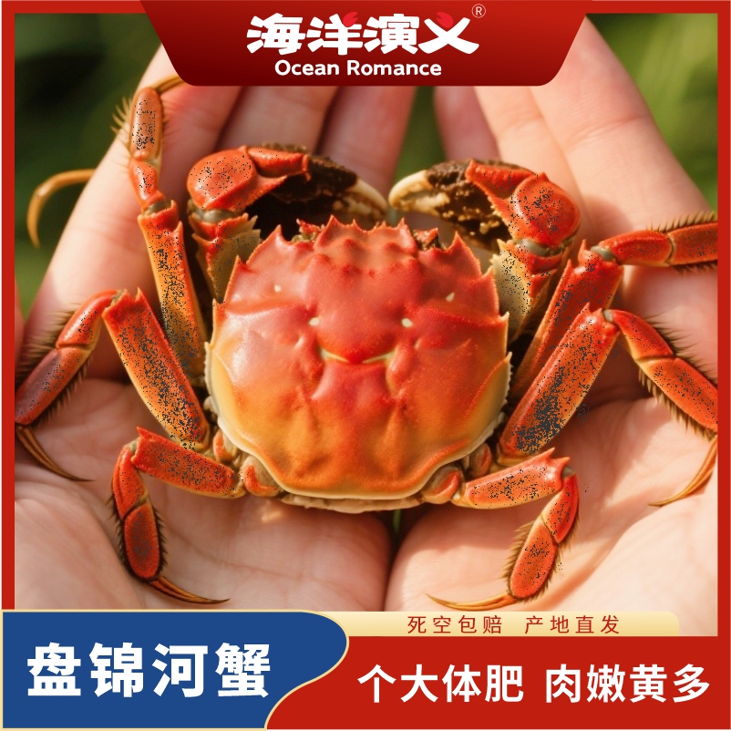 【活蟹】海洋演义 盘锦河蟹 全母蟹3斤（到手25-30只1-1.3两）