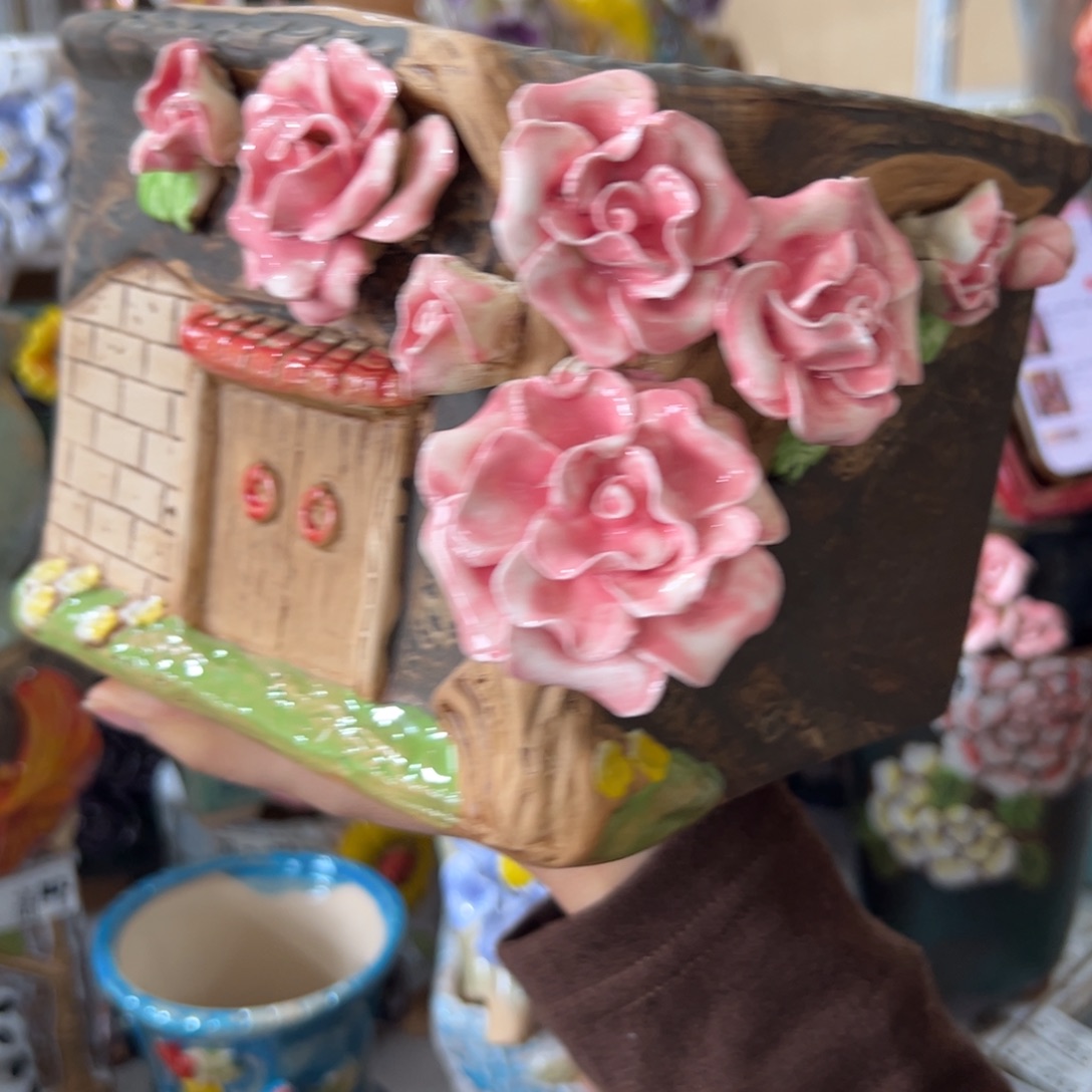 花盆，拍满20发货，退款拉黑