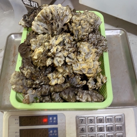 鸡纵超好吃中国大陆