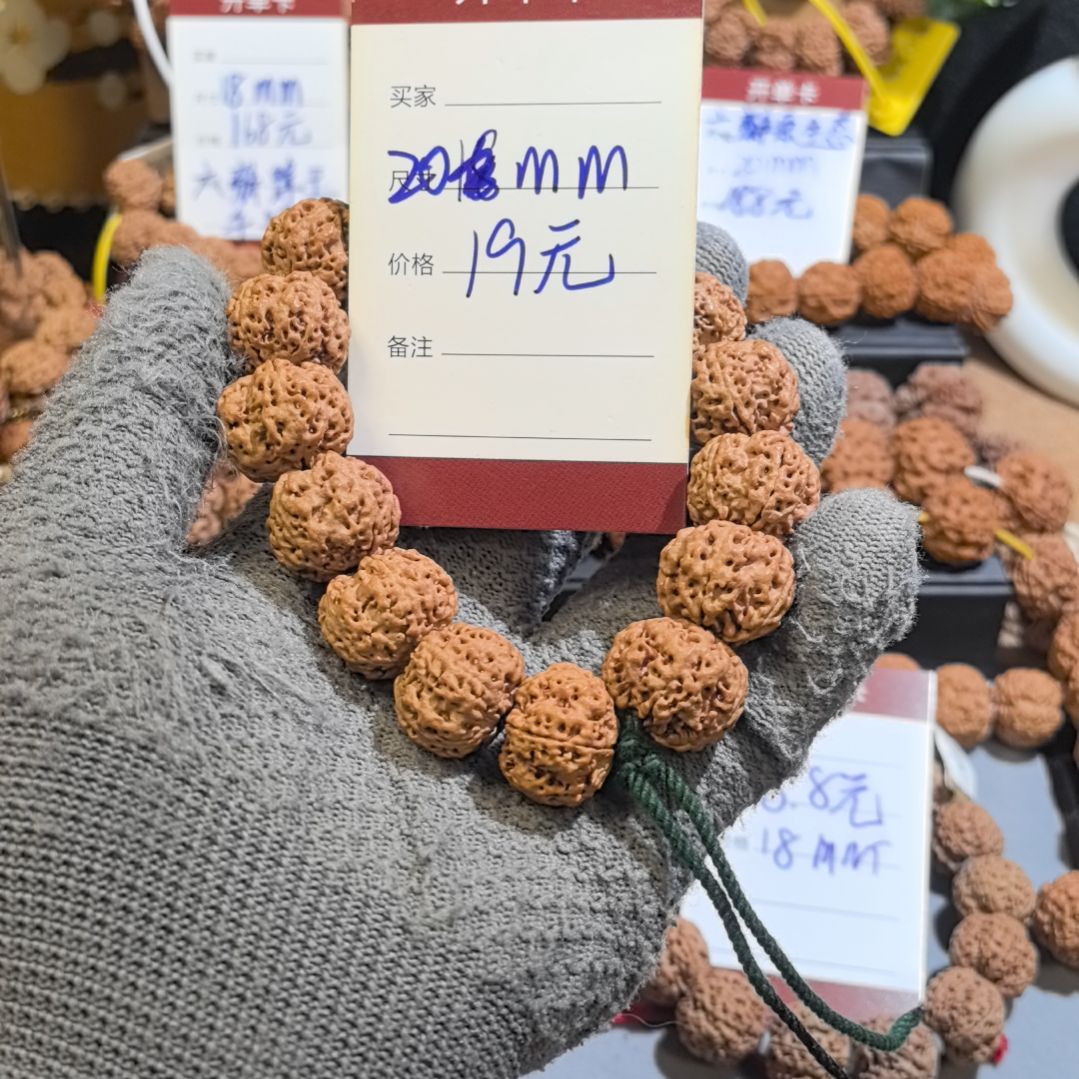吊坠金刚菩提蜂窝金刚菩提原皮原色