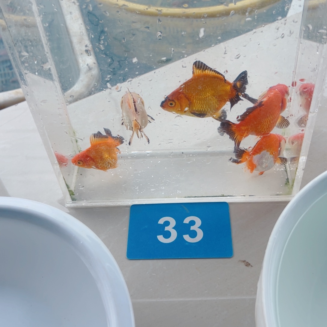 .***，海水111111111111111