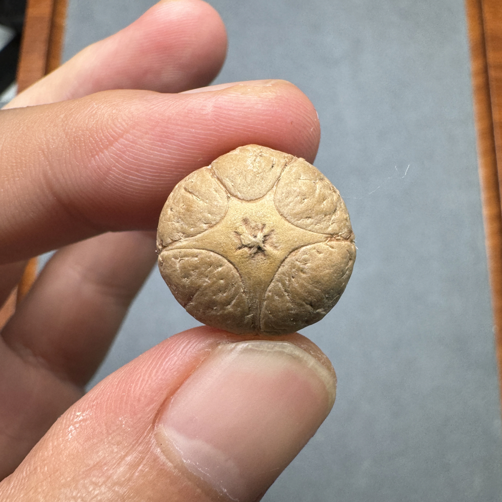 特价18+五星上将菩提凤眼菩提三通佛头，非质量问题开孔不退cj2500