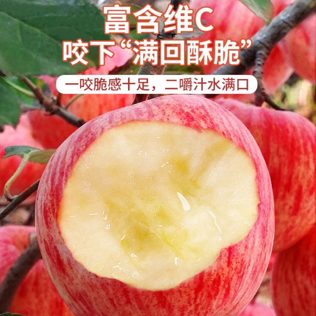 河南三门峡灵宝苹果高山红富士脆甜多汁天然富硒无标产地直销