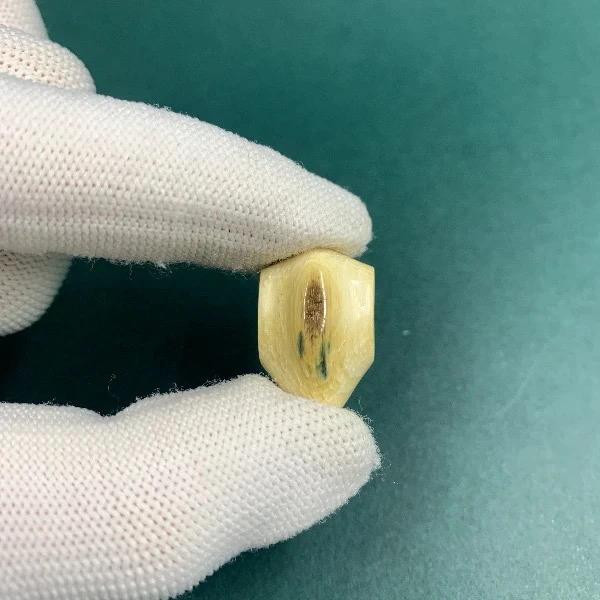 H5718天然猛犸猛犸牙精品三通支持鉴定假一罚四