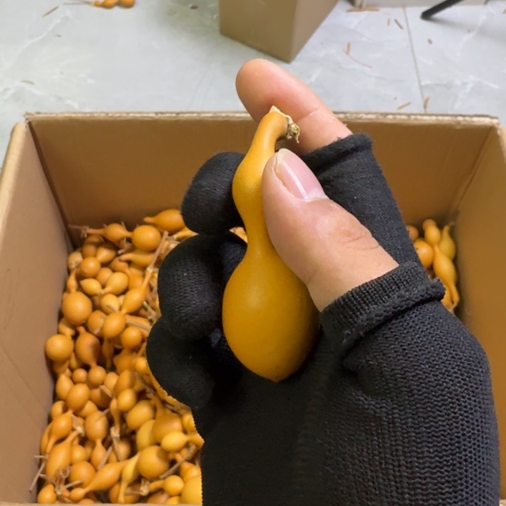 小***）精品手把蚂蚁肚葫芦