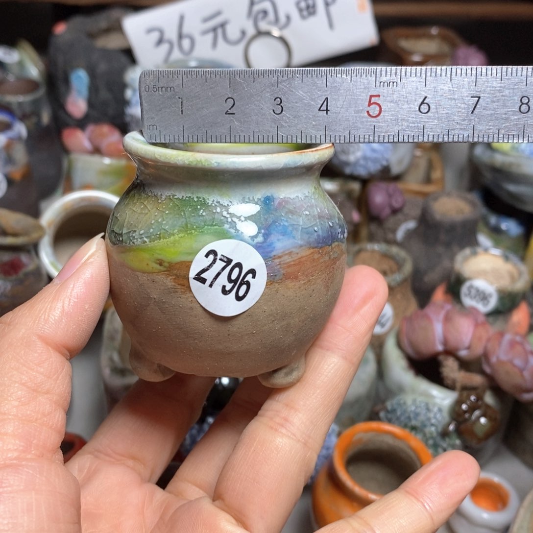 多肉花盆拍5送一个小礼物