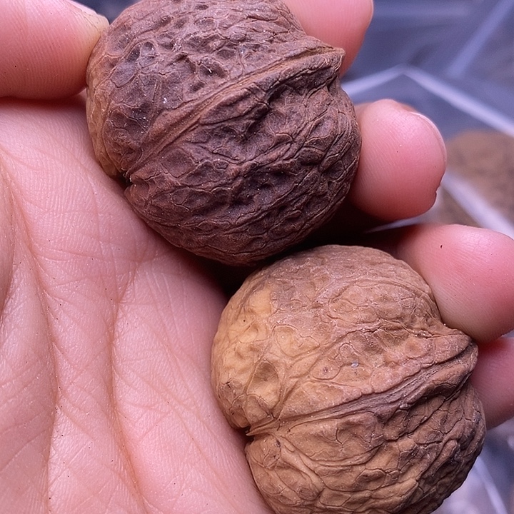 文玩核桃把件   90