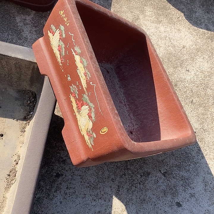 快***哥花盆紫砂8888888888