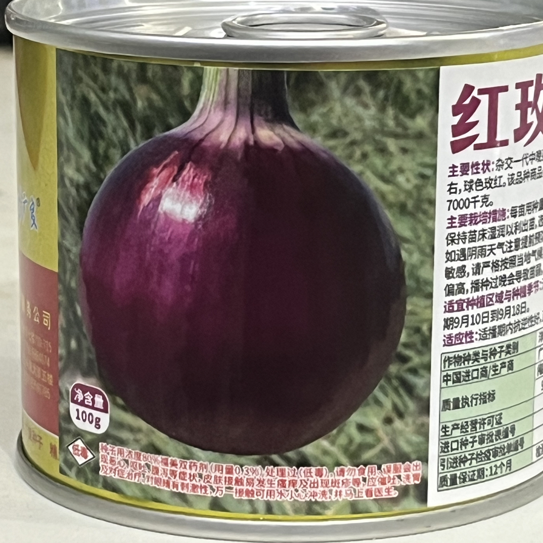 红玫520 中熟杂交 皮色光亮 高圆 硬度好 高产 100克装