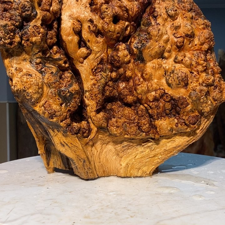 九*我们都是你的粉丝57