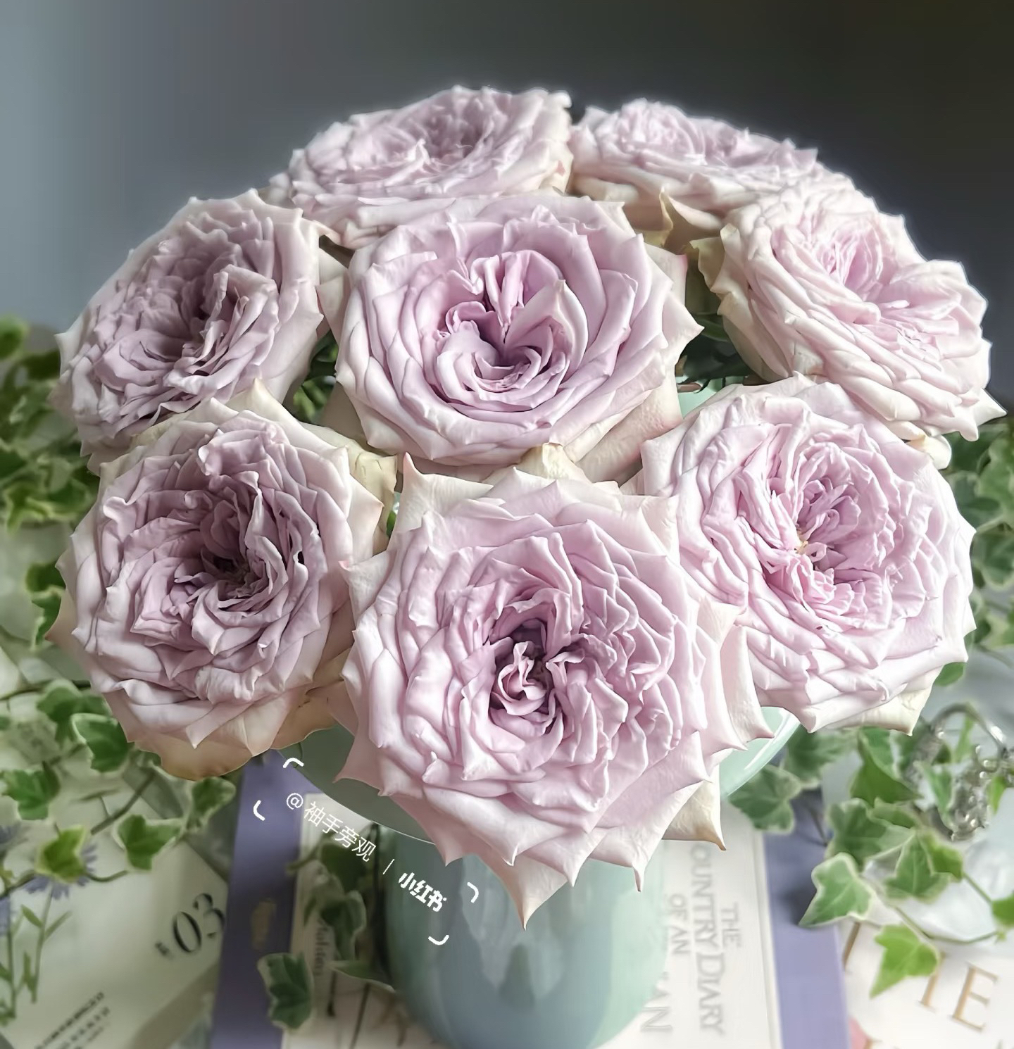 【魔法乐章】/【2-3单包邮顺丰冷链/满4单包邮顺丰空运】