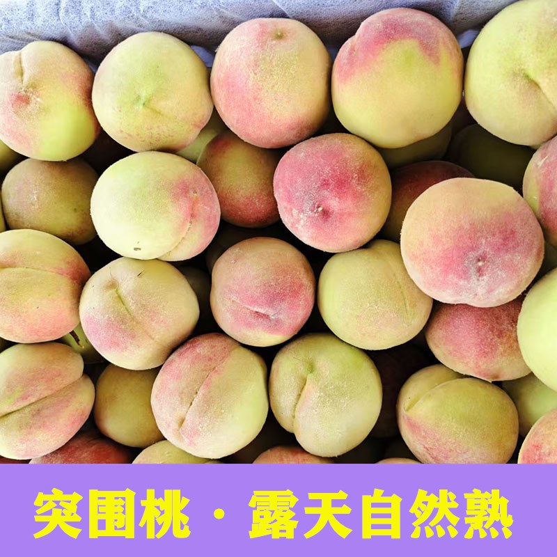 湖北突围桃子脆桃新鲜水果五月水蜜桃毛桃大脆桃大果大桃子脆桃