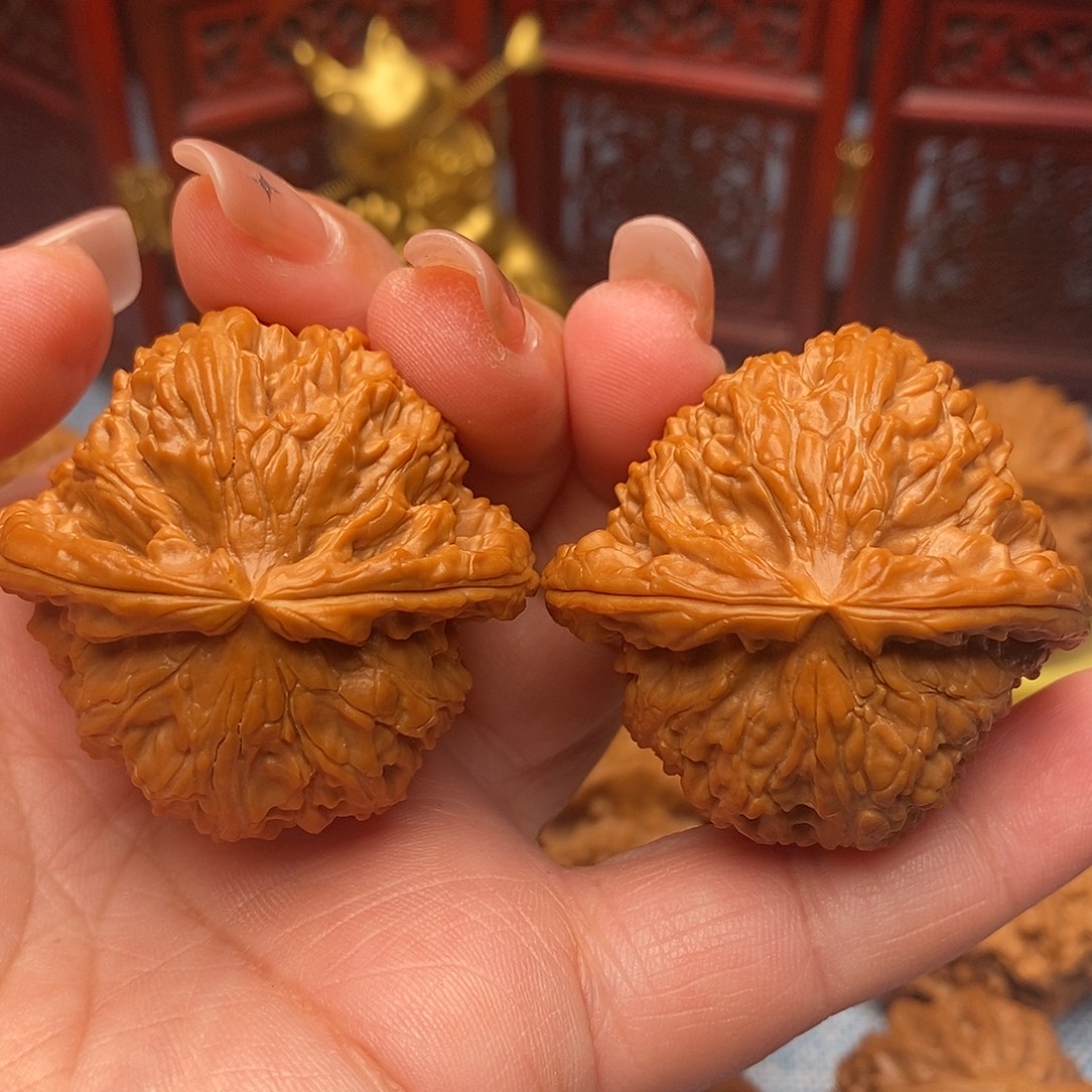 把件文玩核桃43全品毕业白狮子