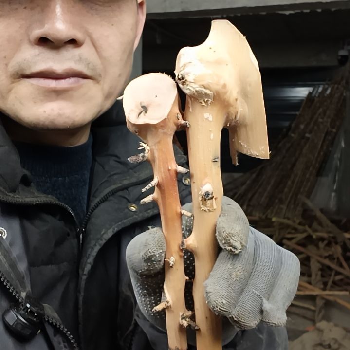 稳定木三*里檬檬木半成品原材料