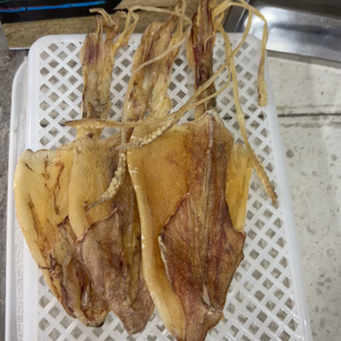 北海渔民自晒大号鱿鱼干海鲜食品营养滋补