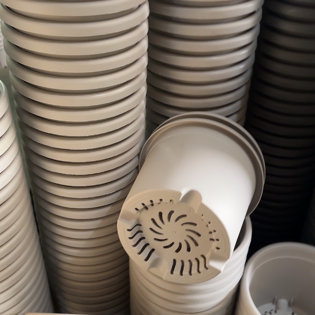 树脂四季3号无托10个灰白微瑕