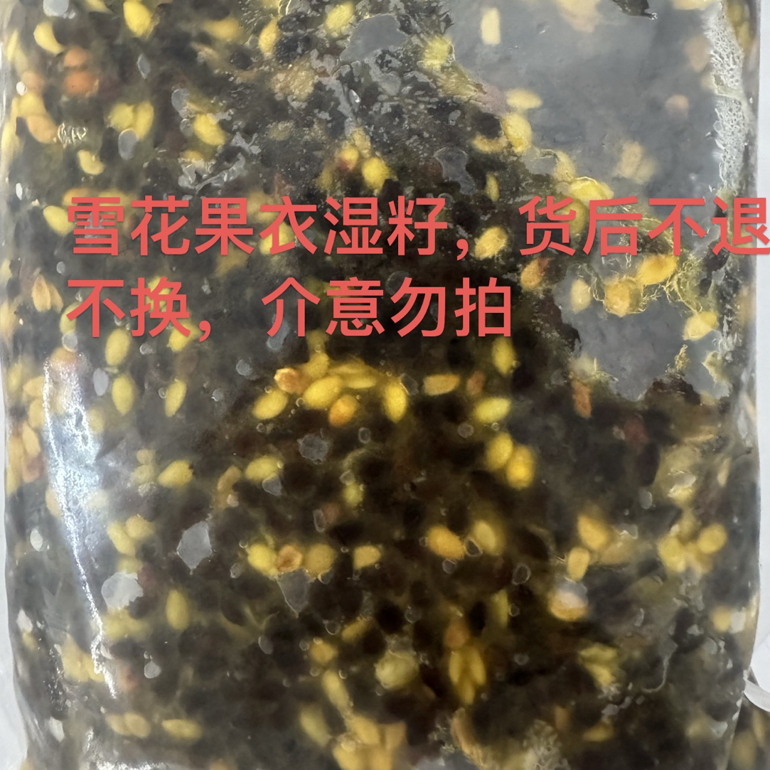 百香果籽 （雪花籽黄金果籽）