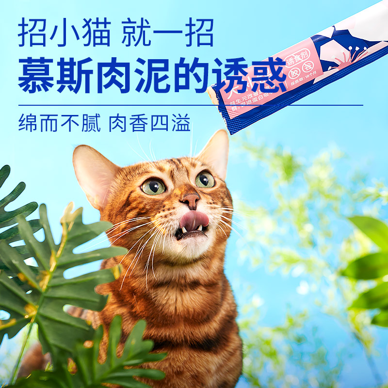 LEGENDSANDY/蓝氏猫条咕咕条宠物零食幼猫湿粮营养好消化无诱食剂